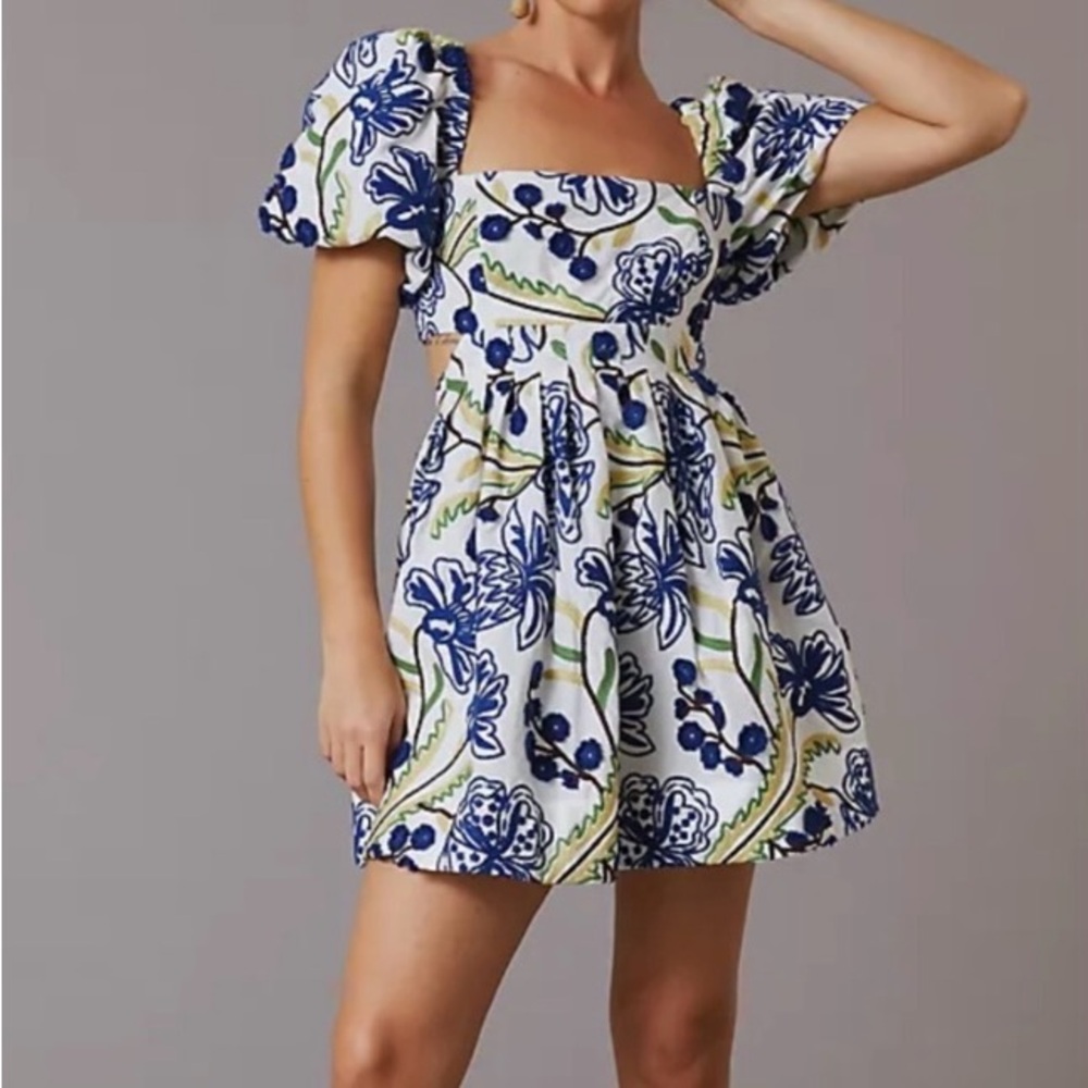 Anthropologie Puff Sleeve Dress